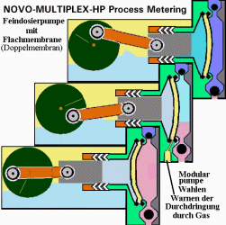 Diaphragm Metering Multiheaded Pump